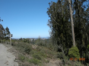 ROAD FROM MUIR WOODS1.jpg